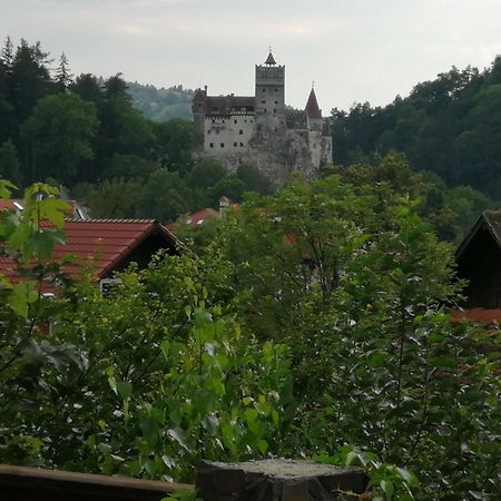 Pensiunea Transilvania Lodge Bran  Buitenkant foto