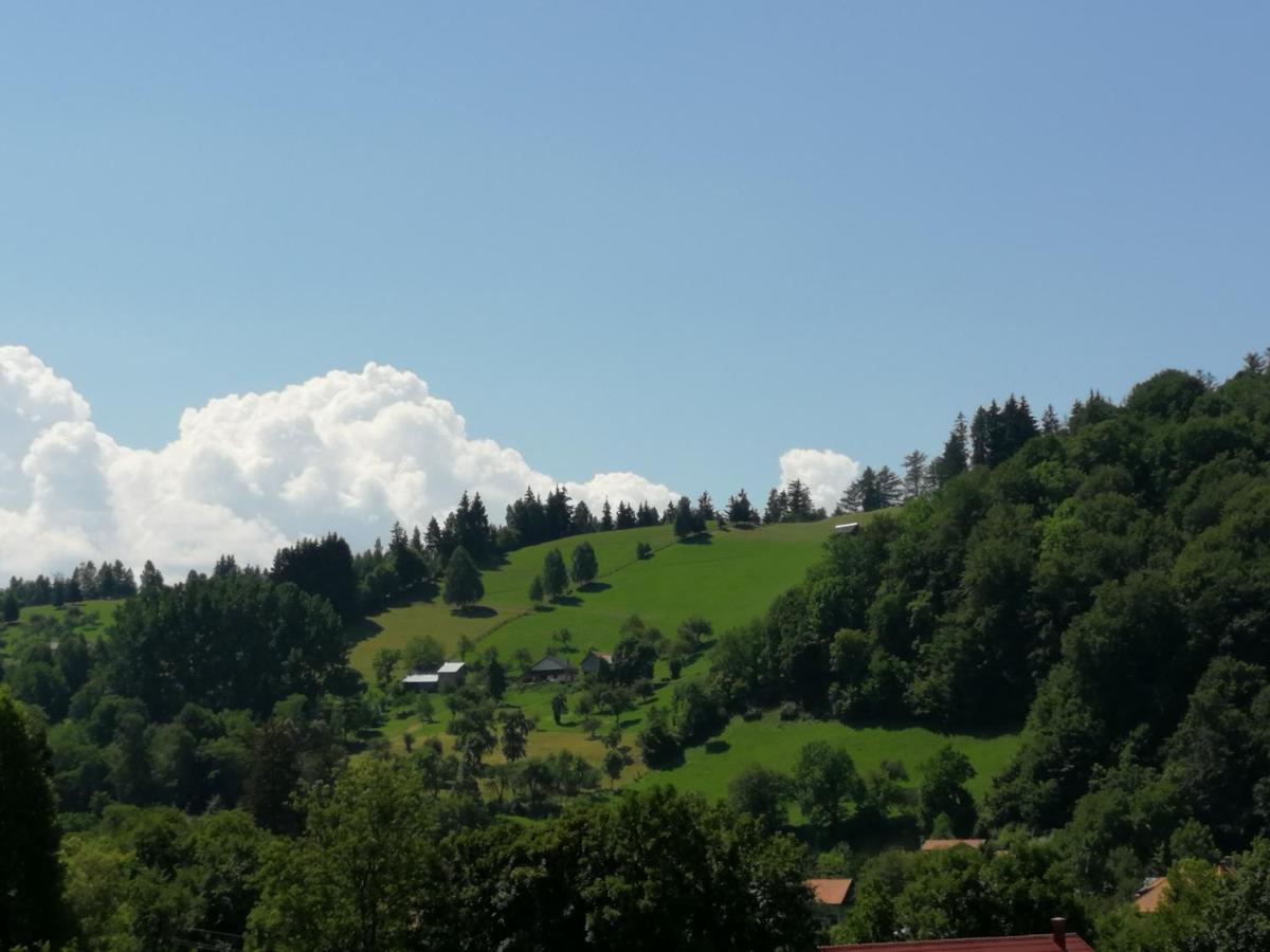 Pensiunea Transilvania Lodge Bran  Buitenkant foto