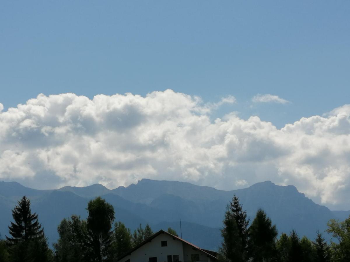 Pensiunea Transilvania Lodge Bran  Buitenkant foto