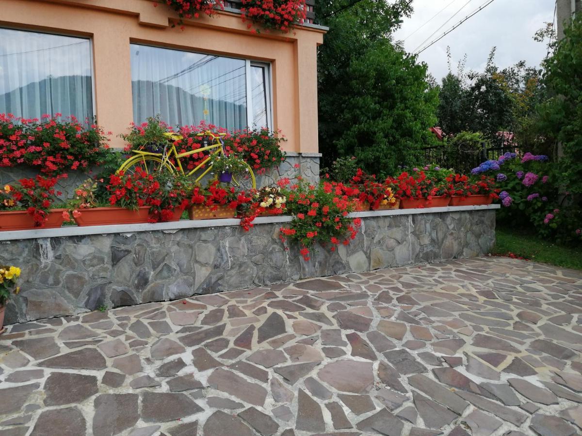 Pensiunea Transilvania Lodge Bran  Buitenkant foto