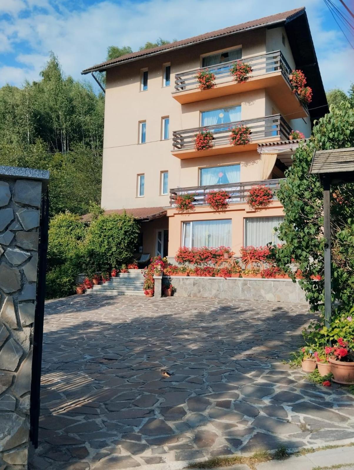 Pensiunea Transilvania Lodge Bran  Buitenkant foto