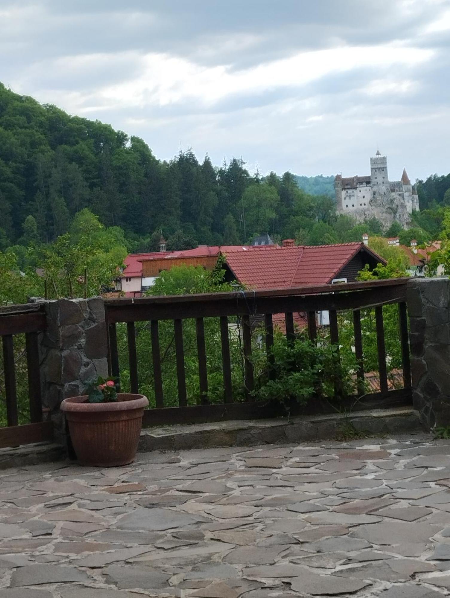Pensiunea Transilvania Lodge Bran  Buitenkant foto